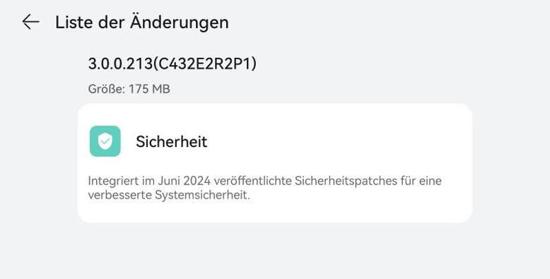 Sicherheitspatch Juni 2024